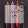 Lot de 10 bougies cierge Soja
