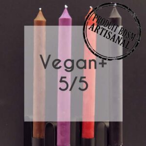 Lot de 10 bougies cierge Vegan+