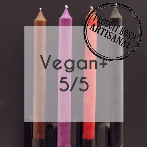 Lot de 10 bougies cierge Vegan+