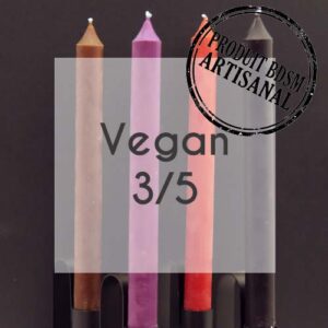 Lot de 10 bougies cierge Vegan