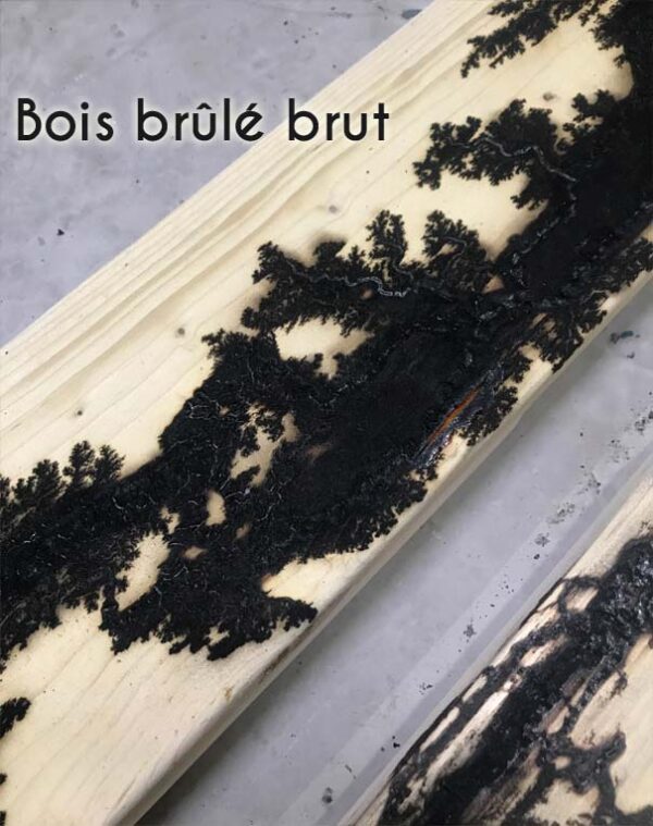 Gravure de Lichtenberg